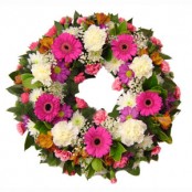 D2F Standard Product 93